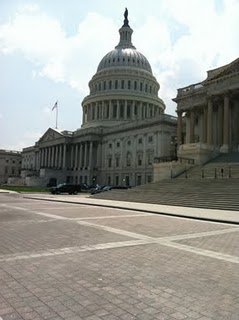 The 4th Annual ADAP Summit; A Budding Advocate