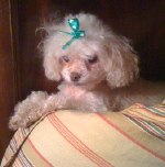 Nambi a year before she died.