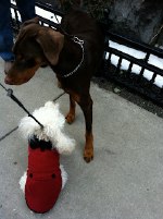 Sophie and her friend Jack.