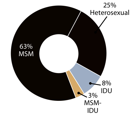 New infections by category