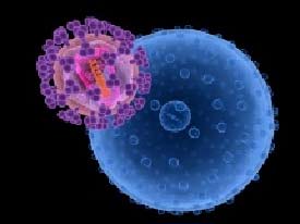New Protein Discovery Could Lead to New HIV Drugs