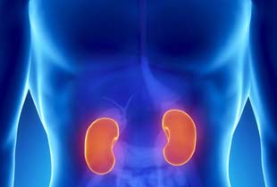 Tenofovir Linked with Risk of Kidney Damage