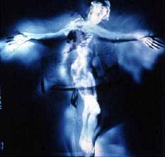 Rebecca Guberman, To Spare the Sparrow, 1997