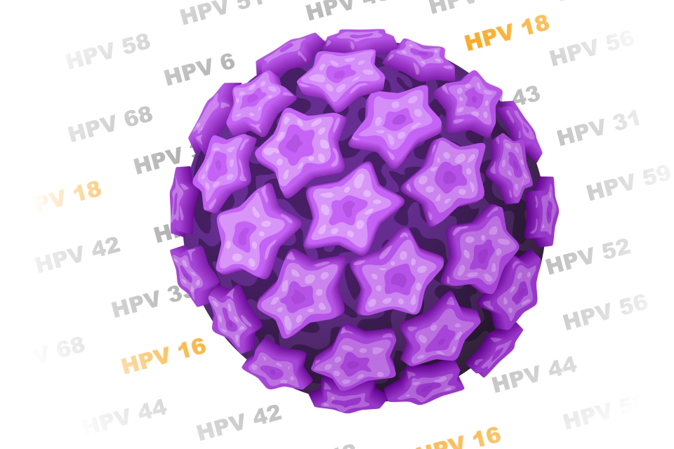 Human Papilloma Virus Hpv And Hiv Aids Thebody