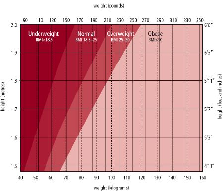 BMI Chart