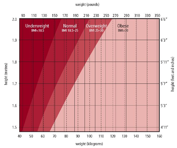 BMI Chart  BMI Calculator