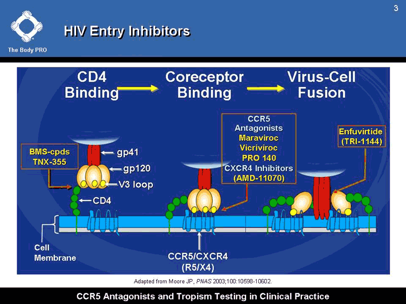 CCR5 Antagonists And Tropism Testing In Clinical Practice