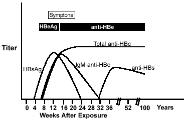 Hepatitis B Virus Transmission Prevention Treatment And Hiv Co