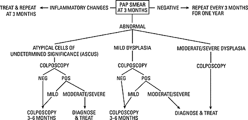 Three Treatment Algorithms for PAP Smear Management in HIV-Positive ...