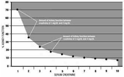 Kidney Creatinine Level Chart